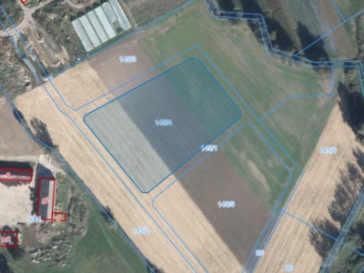 Działka | Podarzewo dz. 145/4 | 1,0099 ha