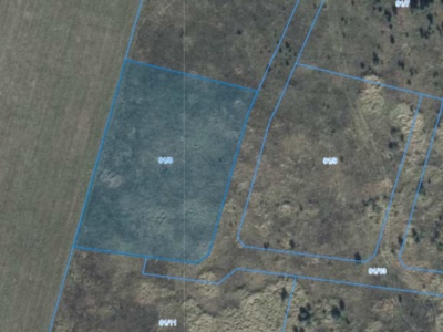 Działka| Grzybowo dz 91/8 | 0,3017 ha