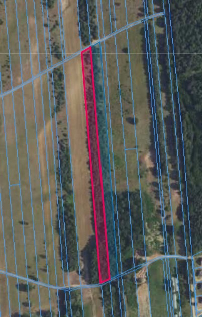 Działka | OLSZEWNICA NOWA dz. 389 i 390 | 1,8550 ha