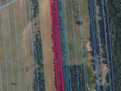 Działka | OLSZEWNICA NOWA dz. 389 i 390 | 1,8550 ha