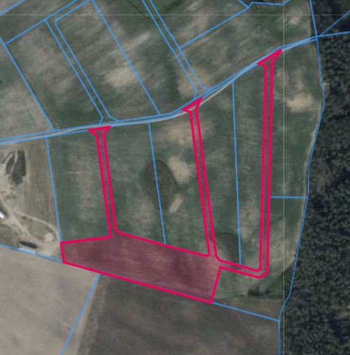 Działka | Pacholewo dz. 113/8 | 1,2486 ha