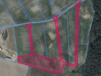 Działka | Pacholewo dz. 113/8 | 1,2486 ha