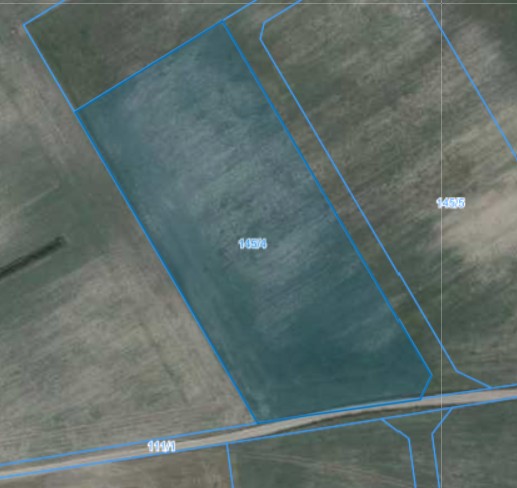 Działka | Pacholewo dz. 145/4 | 1,2329 ha