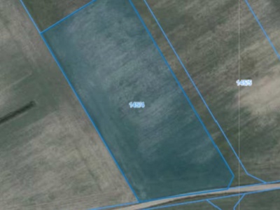 Działka | Pacholewo dz. 145/4 | 1,2329 ha