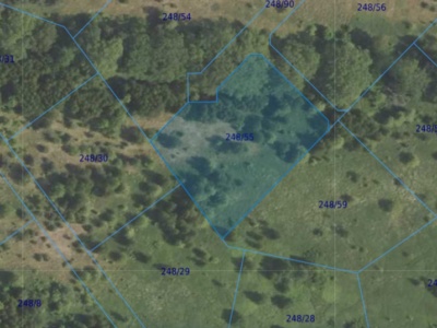 Działka| Dąbrowa dz 248/55 | 0,3175 ha