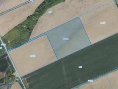 Działka | Pisarzowice dz. 186/2 | 1,0383 ha