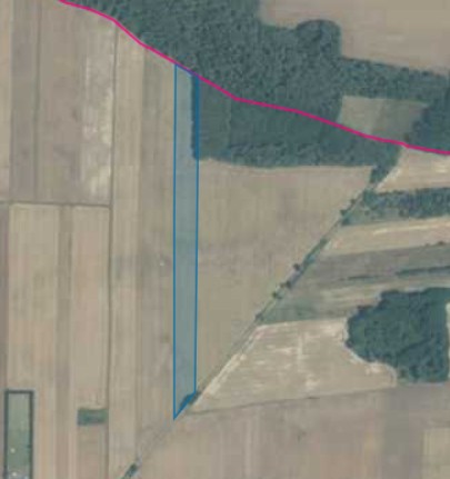 Działka| GRODZANÓW dz 28 | 2,47 ha