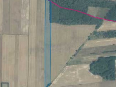 Działka| GRODZANÓW dz 28 | 2,47 ha