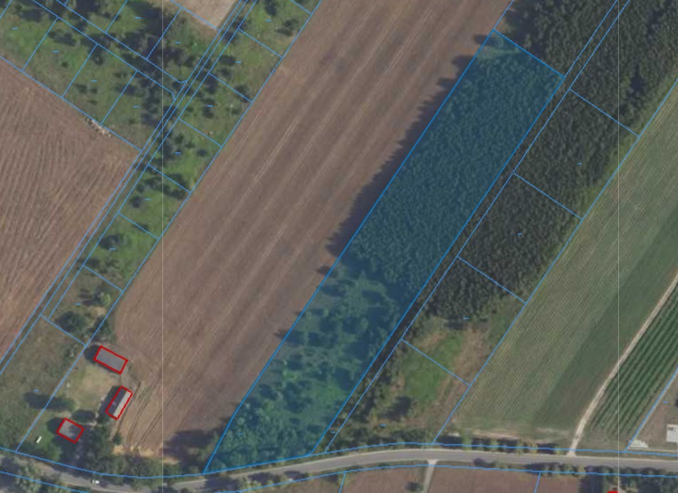 Działka| Kamienica dz 89/3 | 1,500 ha