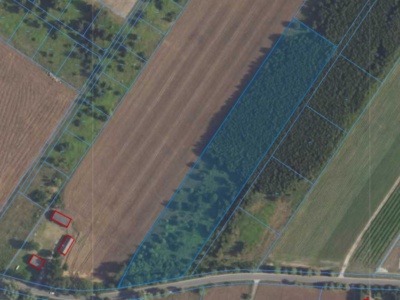 Działka| Kamienica dz 89/3 | 1,500 ha