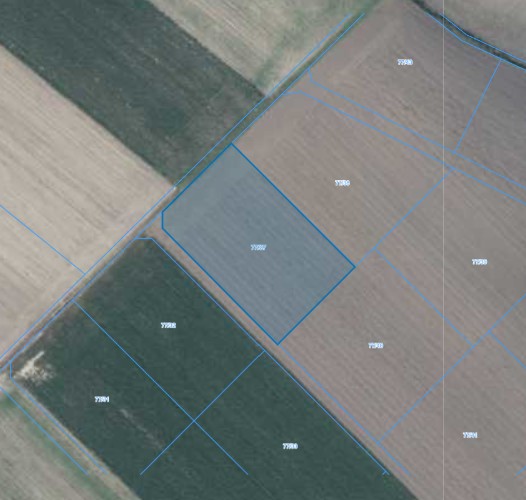 Działka | Łagiewniki dz. 77/37 | 0,3415 ha
