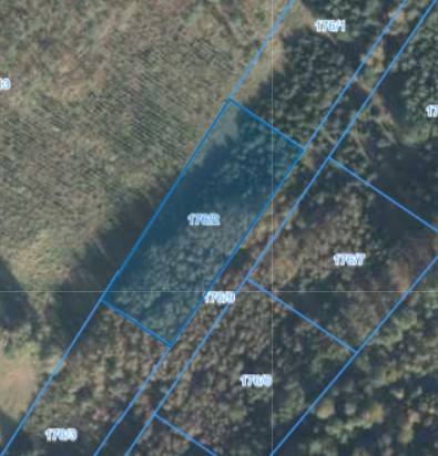 Działka | Nietrzanowo dz. 176/2 | 0,3002 ha