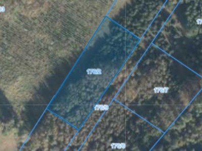 Działka | Nietrzanowo dz. 176/2 | 0,3002 ha