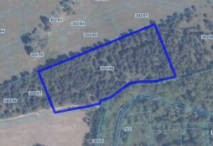 Dzałka | Kolbudy dz. 302/48 | 1,8516 ha
