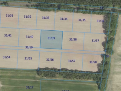 Działka| Grabowno Wielkie dz 31/39 | 0,3000 ha