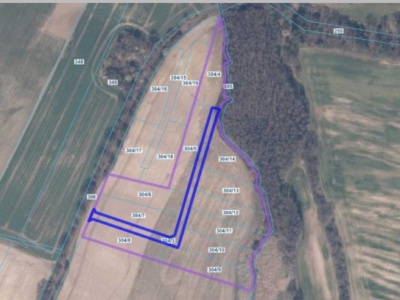 Działka | Żelisławiec dz. 304/3, 304/4, 304/5, 304/6, 304/7, 304/8, 304/9, 304/10, 304/11, 304/12, 304/13, 304/14 | 3,7633 ha