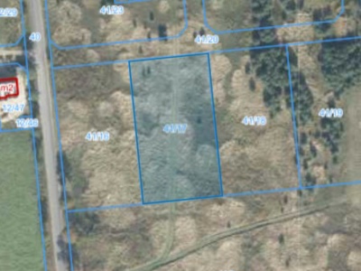 Działka | Rusiborek dz. 41/17 | 0.3181 ha