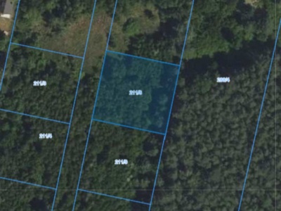 Działka | PIOTRKOWICE dz. 211/8 | 0,1241 ha