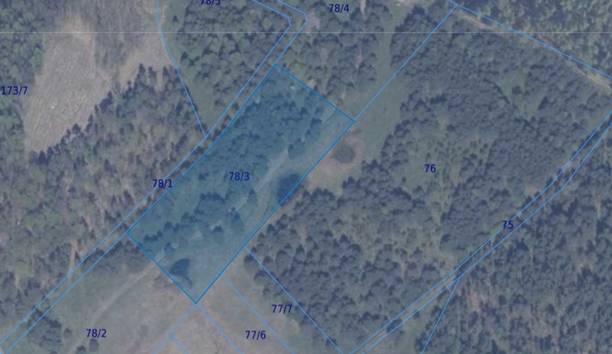 Działka | Błotnia dz 78/3 | 1,2237 ha