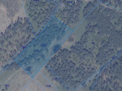 Działka | Błotnia dz 78/3 | 1,2237 ha