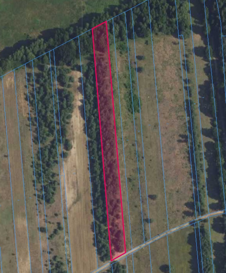 Działka | OLSZEWNICA NOWA dz. 348 | 0,6322 ha