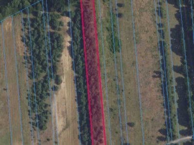 Działka | OLSZEWNICA NOWA dz. 348 | 0,6322 ha