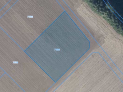 Działka | Łagiewniki dz. 77/66 | 0,3096 ha