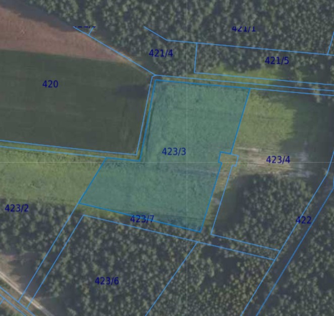 Działka| Grędzina dz 423/3 | 1,0033 ha