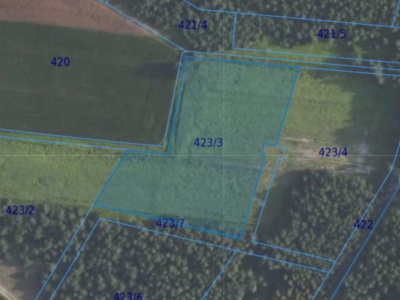 Działka| Grędzina dz 423/3 | 1,0033 ha