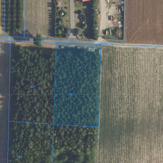 Działka | Naborowo dz. 113/2 | 0,3001 ha