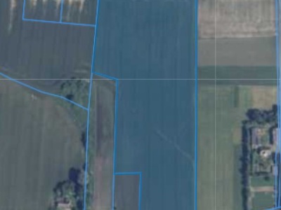 Działka | Sarbinowo dz. 80/4 | 4,3655 ha