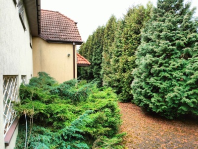 Dom | Częstochowa | ul. św. Rocha