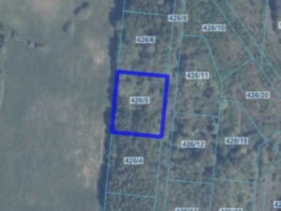 Działka | Pręgowo Górne dz. 426/5 | 0,3020 ha