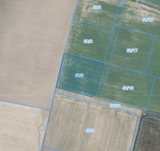 Działka | Węglewo dz. 50/3 |  0,3067 ha