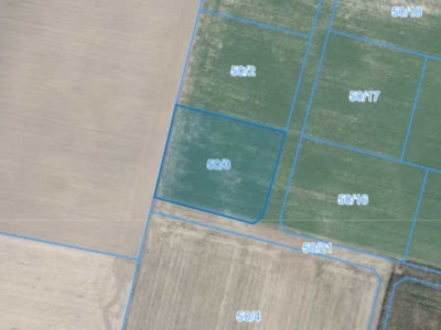 Działka | Węglewo dz. 50/3 |  0,3067 ha