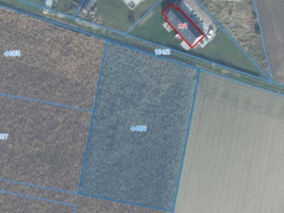 Działka | Lusówko dz. 445/6 | 0,3718 ha
