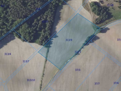 Działka| Chwałowice dz 313/9 | 1,4891 ha