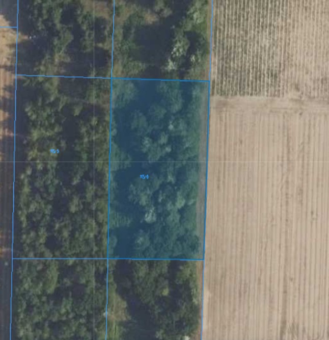 Działka | Naborowo dz. 113/6 | 0,3002 ha