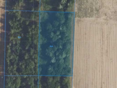 Działka | Naborowo dz. 113/6 | 0,3002 ha