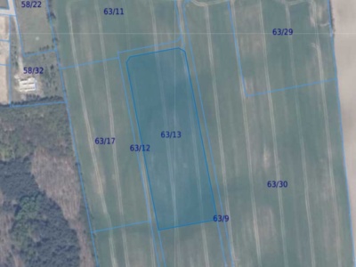 Działka | Ełganowo dz 63/13 | 1,0481 ha