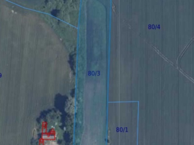 Działka | Sarbinowo dz. 80/3 |  0,9424 ha