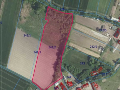 Działka| Brzezie dz 241/2 |  1,5064 ha