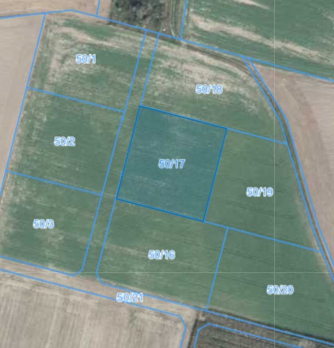 Działka | Węglewo dz. 50/17 |  0,3196 h