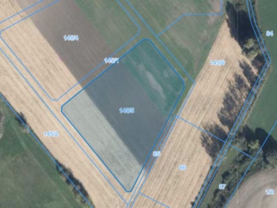 Działka | Podarzewo dz. 145/5 | 1,1108 ha