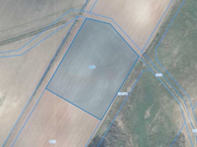 Działka | Kunowo dz. 86/1 | 0,3000 ha