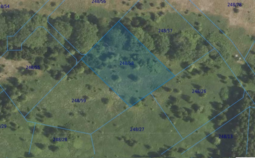 Działka| Dąbrowa dz 248/58 | 0,3033 ha