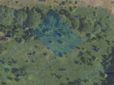 Działka| Dąbrowa dz 248/58 | 0,3033 ha