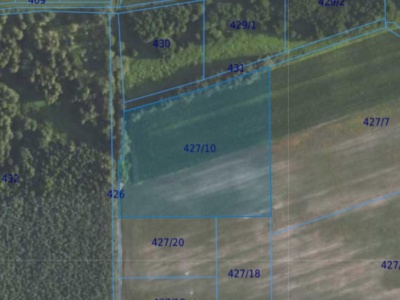 Działka| Grędzina dz 427/10 | 1,1255 ha
