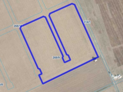 Działka | Łekno dz. 268/9 | 2,1515 ha