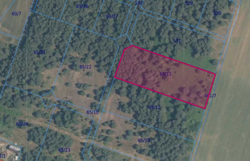 Działka | BISKUPICE dz. 65/11 | 1,0010 ha